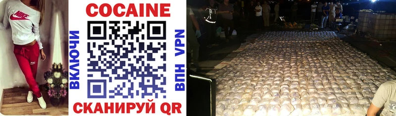 Купить закладки  Волхов  Cocaine Columbia 
