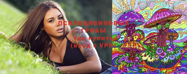 мескалин Гусь-Хрустальный