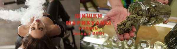 круглые Гусев