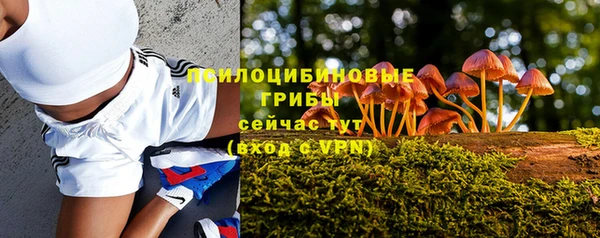 СК Гусиноозёрск