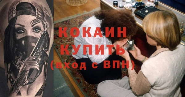 круглые Гусев