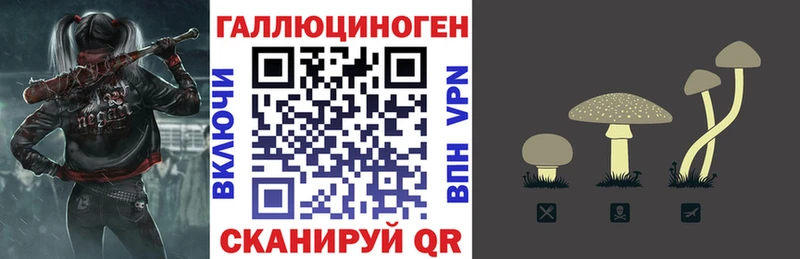 Купить где  Волхов  Галлюциногенные грибы Psilocybine cubensis 