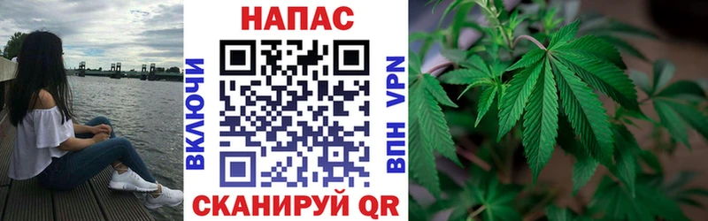 Марихуана марихуана  Купить где  Волхов 
